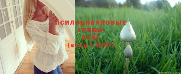 сатива Богородицк