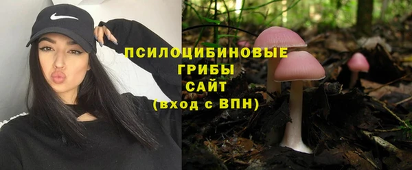 сатива Богородицк