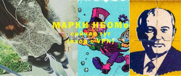 сатива Богородицк